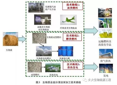 生物质能工程，绿色能源的未来之路