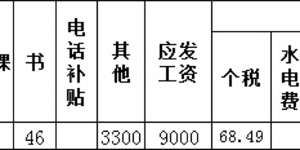 公立幼儿园教师待遇概览，现状、挑战与未来展望