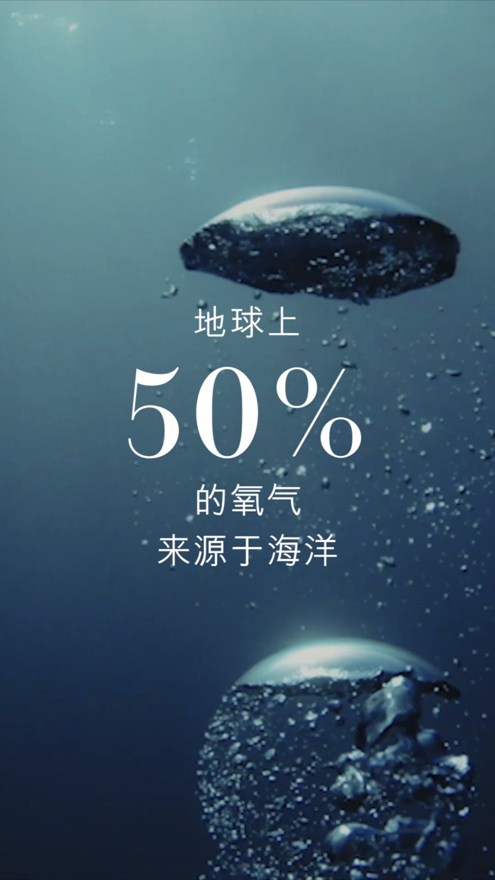 海洋能否提供氧气？海洋与氧气关系深度解析——知乎视频解析