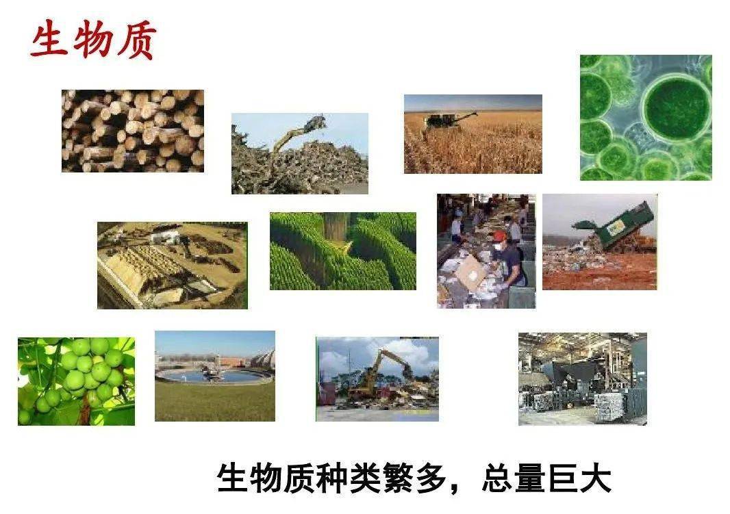 生物能与生物质能，概念辨析与关联探讨