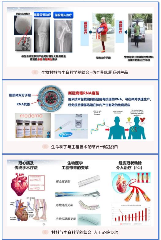 生物医学工程医院招聘启事，构建专业团队，引领医疗科技新时代发展