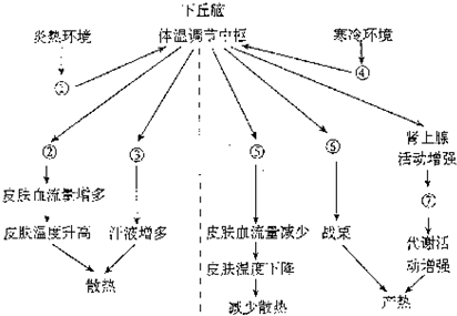 风能转换电能原理，绿色能源技术深度探讨