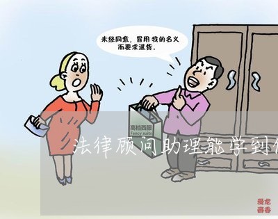 法律助理职业概述与职责解析