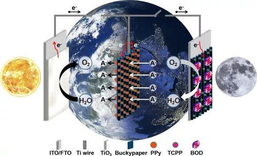 生物质能与太阳能转化形式的探索与实践