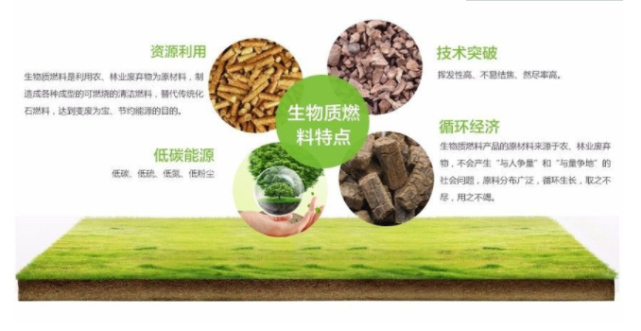 生物能与生物质能的区别深度解析，两种能源概念的差异探究