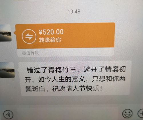 给情人转账的合适金额，深度探讨与理解之道