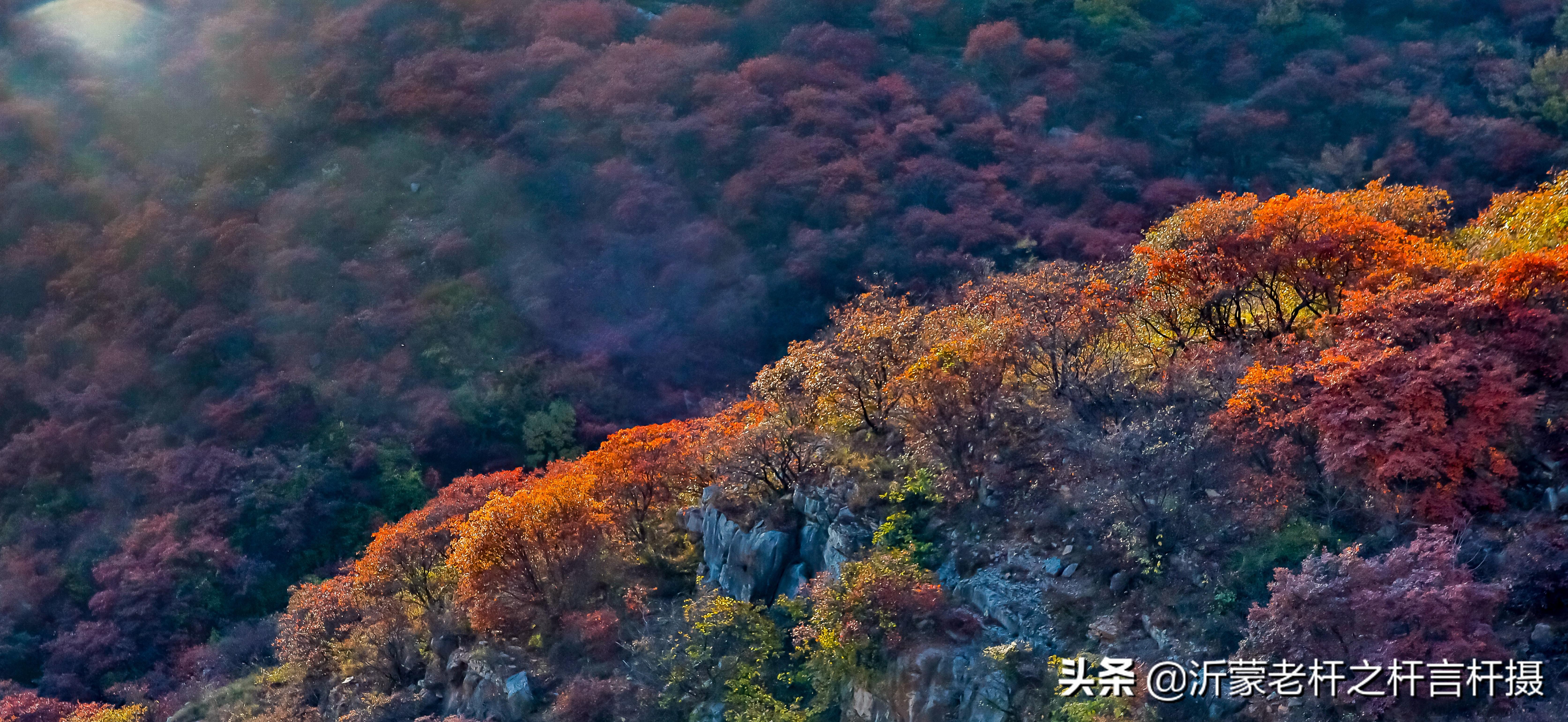 ◇梦◆饭饭 第3页