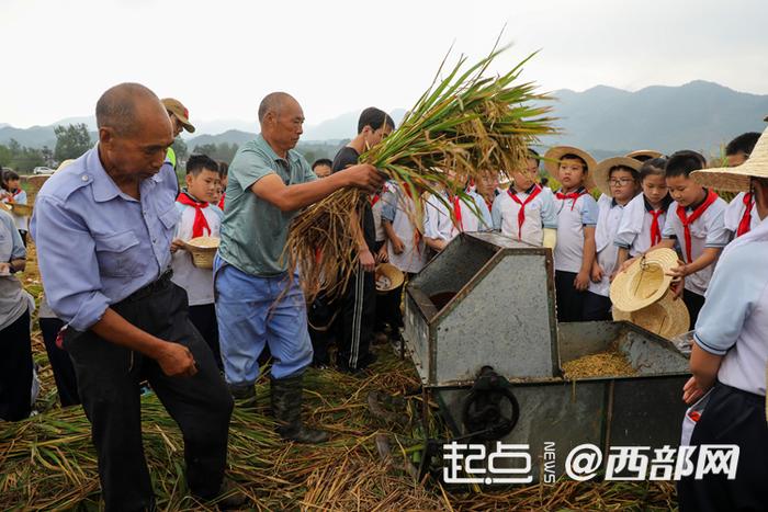 几叶风兼雨 第3页