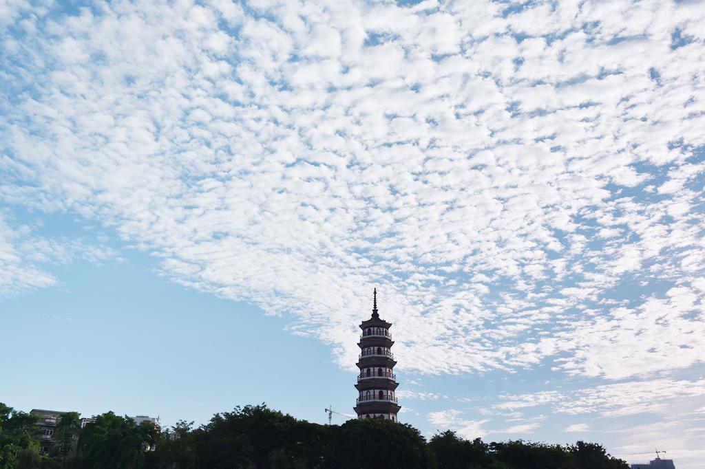 学习强国与罗定市的聚焦时刻，亮点纷呈