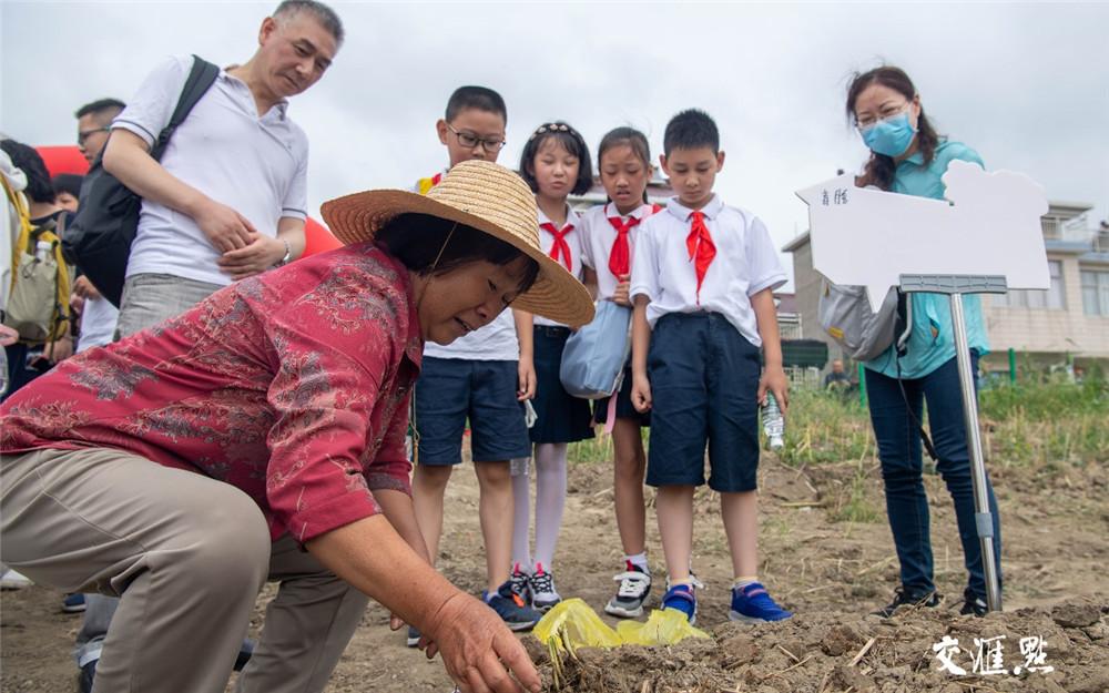 阳江市郊研学基地，魅力学习胜地