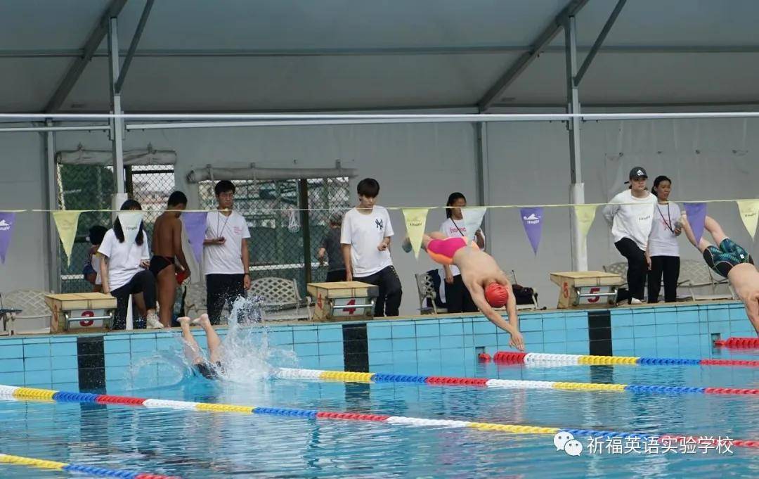 佘家坪镇中学男篮再次夺冠，奋斗铸就荣耀，乙组冠军荣耀篇章