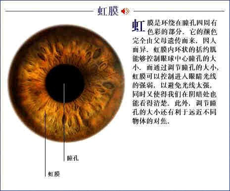 虹膜写真爆火背后的安全性问题，专家提醒需注意！