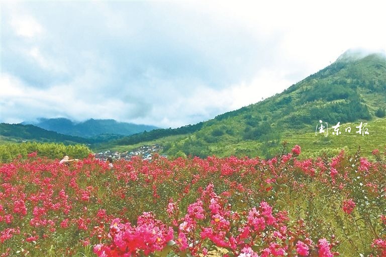 三明泰宁，菌花绽放，振兴小镇美景