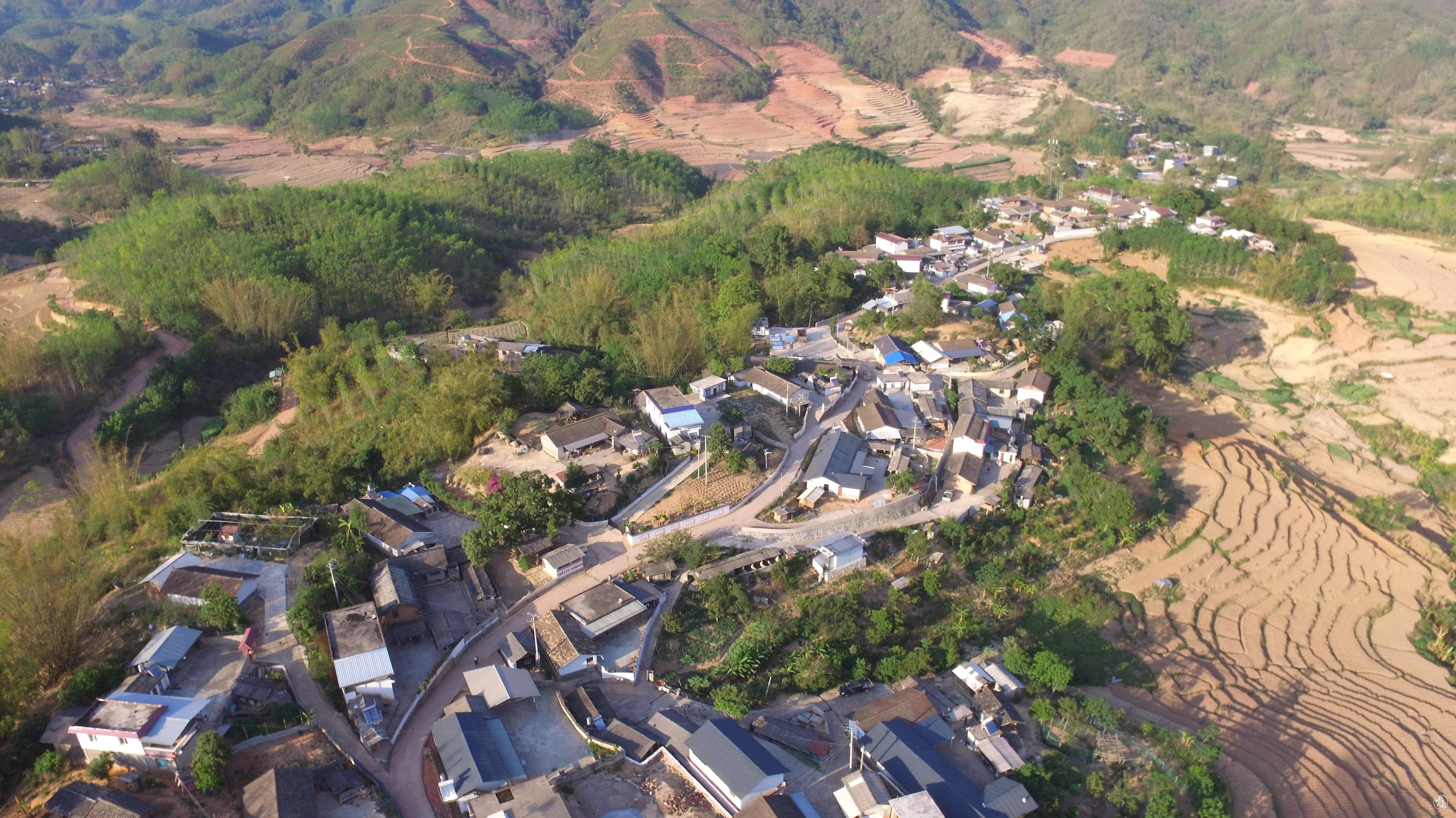 景谷县正兴镇球场变市场豆子丰收销售繁忙景象