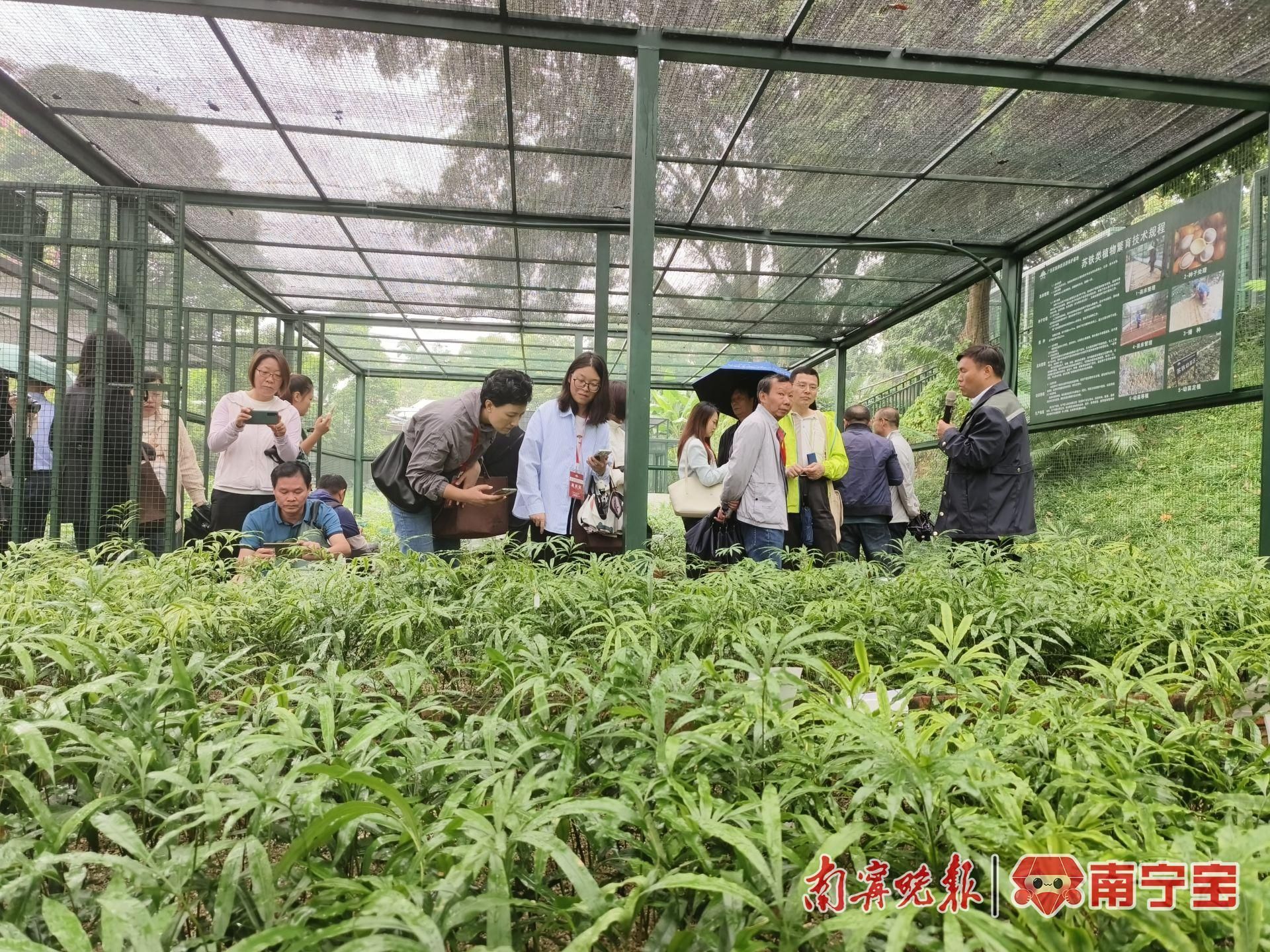 广西新增12处自治区级林草种质资源库，生态保护与可持续发展的新引擎