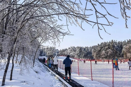 净月高新区冰雪盛宴启幕，主线引领，多点联动共融体验