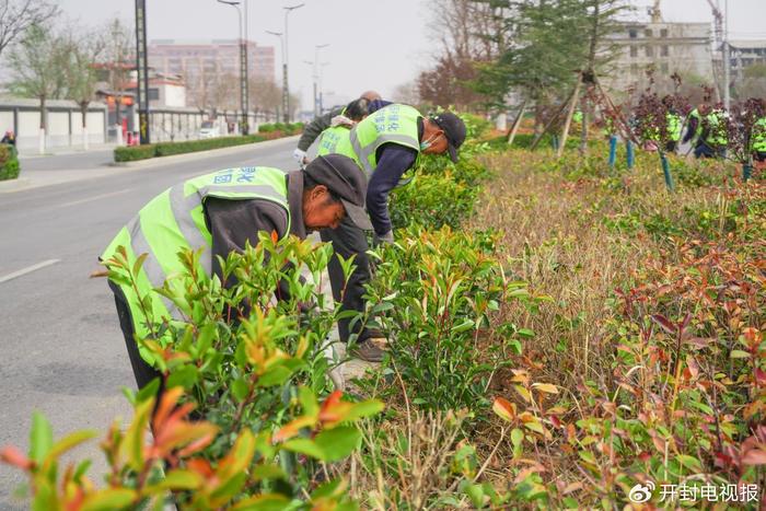 沈阳秋冬季行道树补植启动，全市计划补植304种行道树的黄金期行动