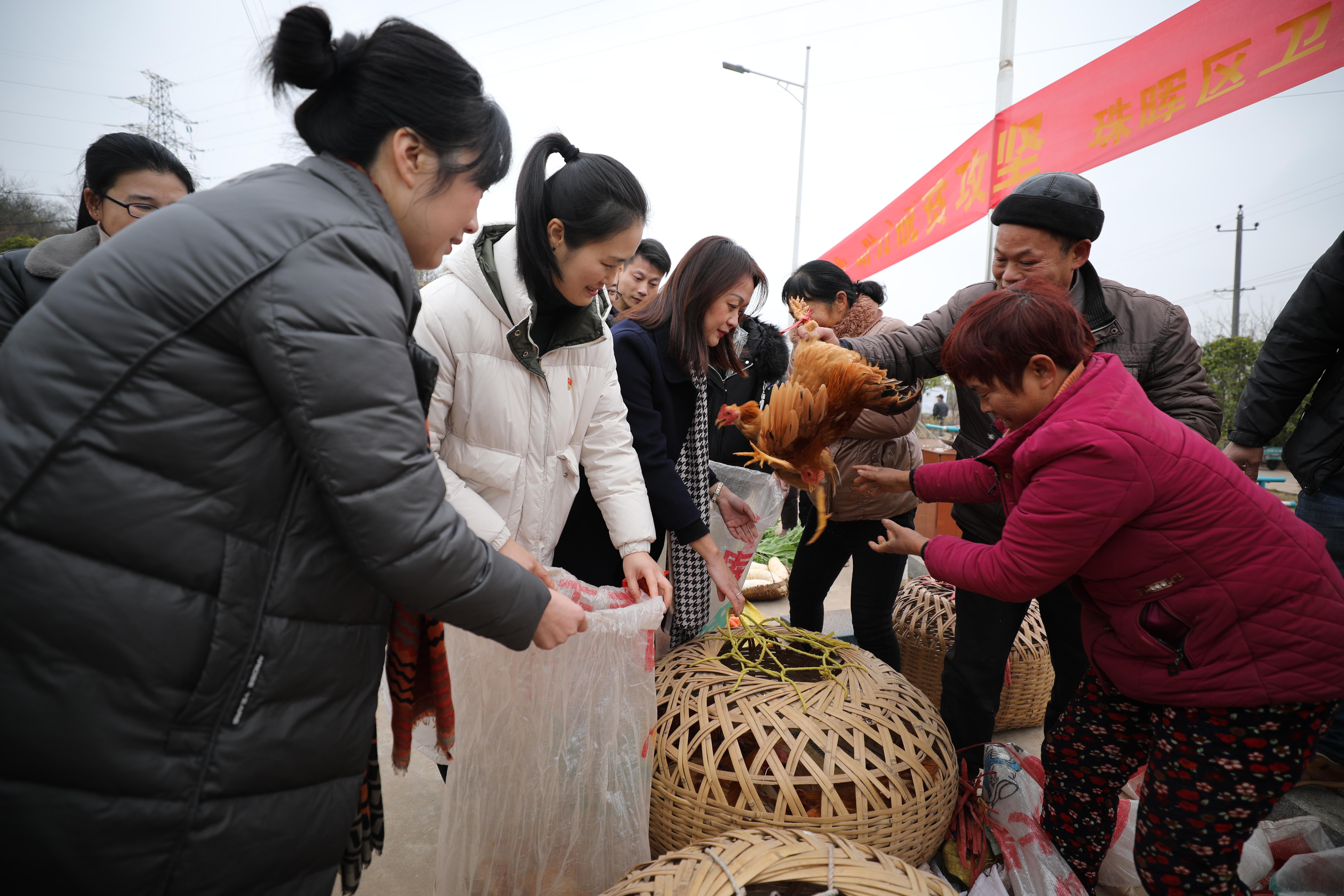 珠晖区与衡阳师范学院携手合作，共绘校友经济发展新篇章