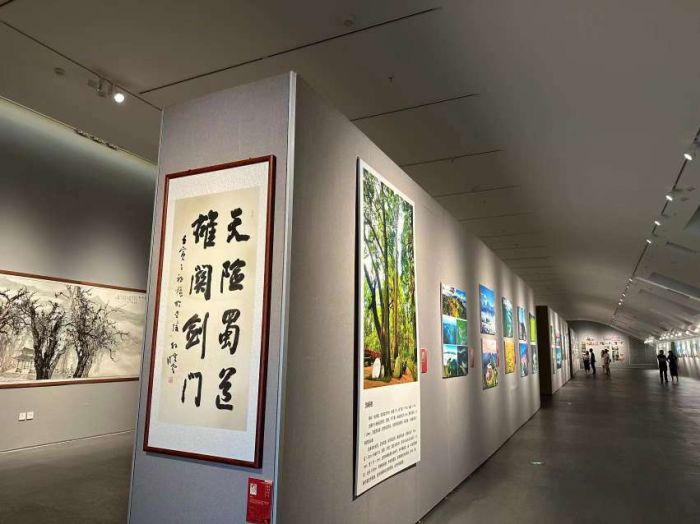 天险蜀道·雄关剑门——视觉盛宴中的书法美术摄影作品展