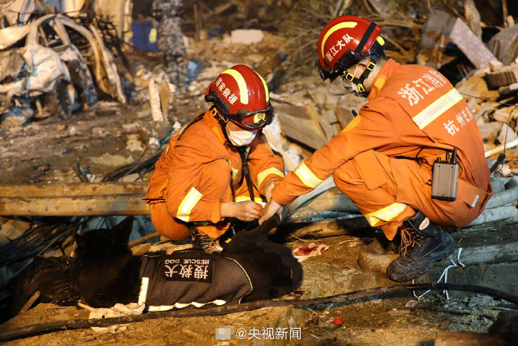 浙江救援队员的逆袭之路，从援助他人到受助，社区温暖照亮人生旅程