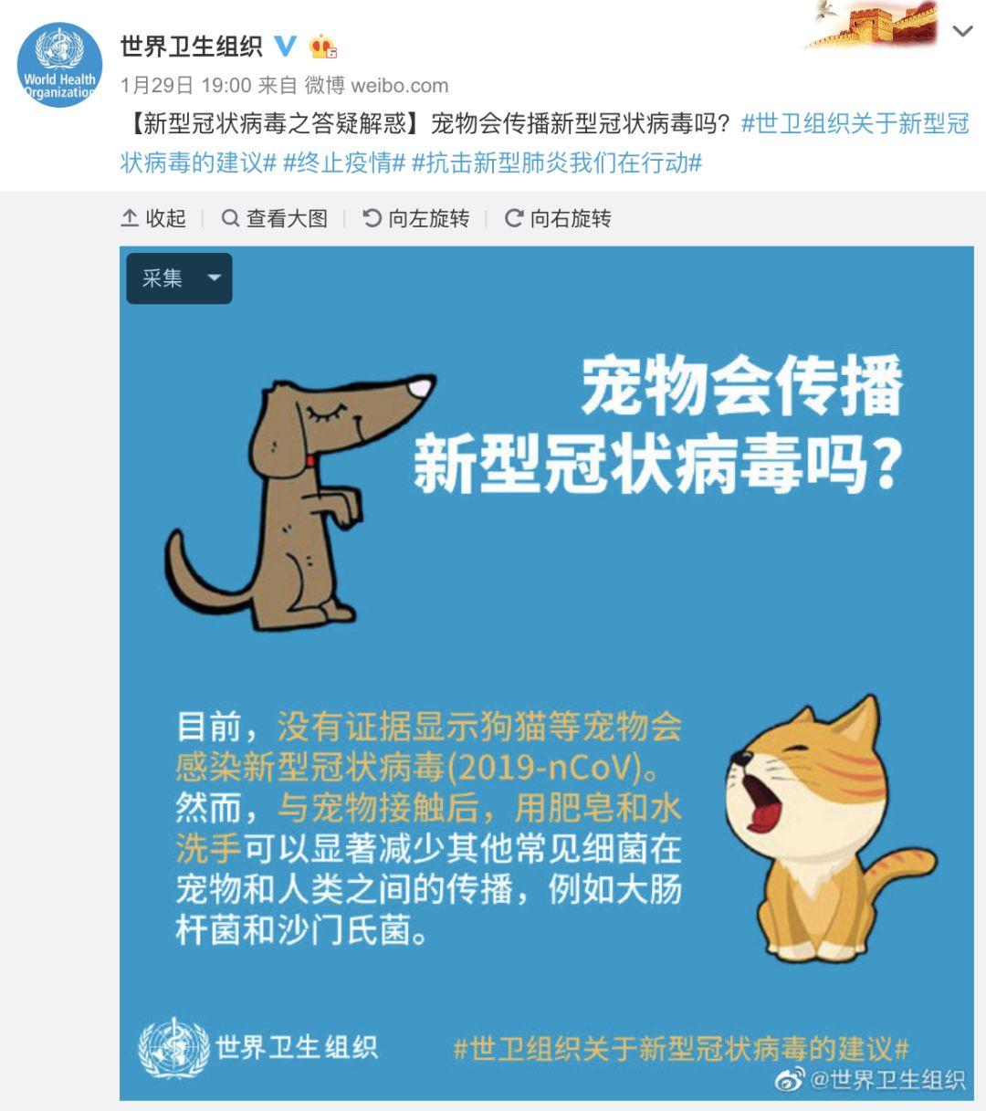 世卫组织警告超级细菌威胁，全球公共卫生面临严峻挑战