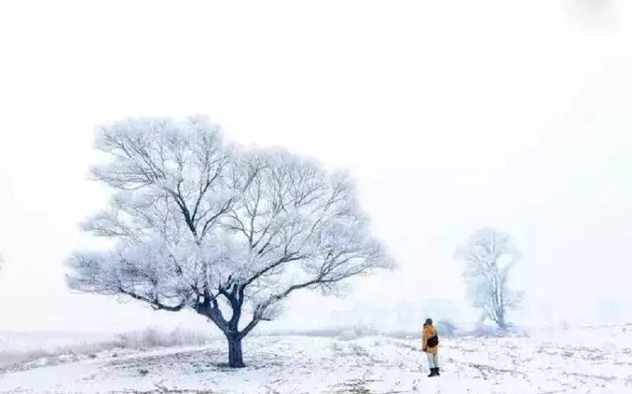 四季打卡必去网红大雪人景点