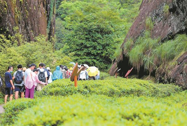 福建南平，环武夷山国家公园保护发展带推动全域经济生态协同发展