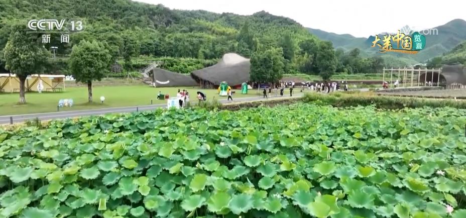 临安小伢儿乐园，陌上花开，竹溪听雨的美好旅程