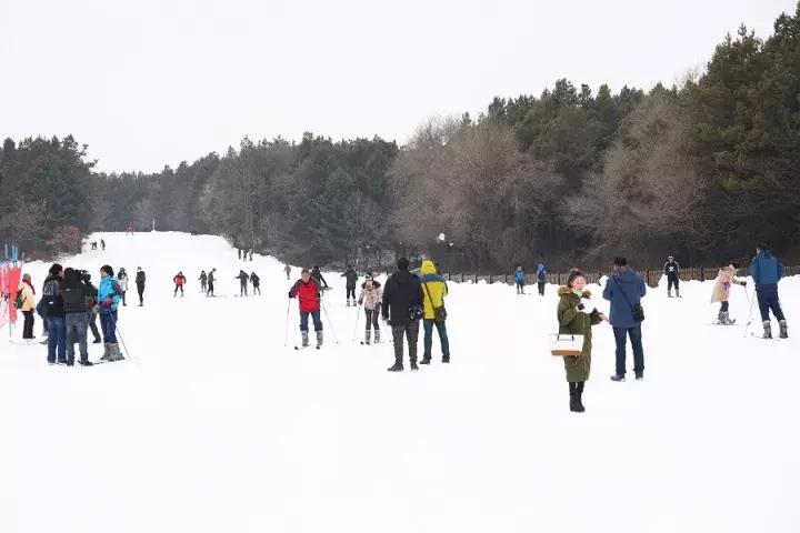 净月高新区，主线引领联动，开启冰雪盛宴