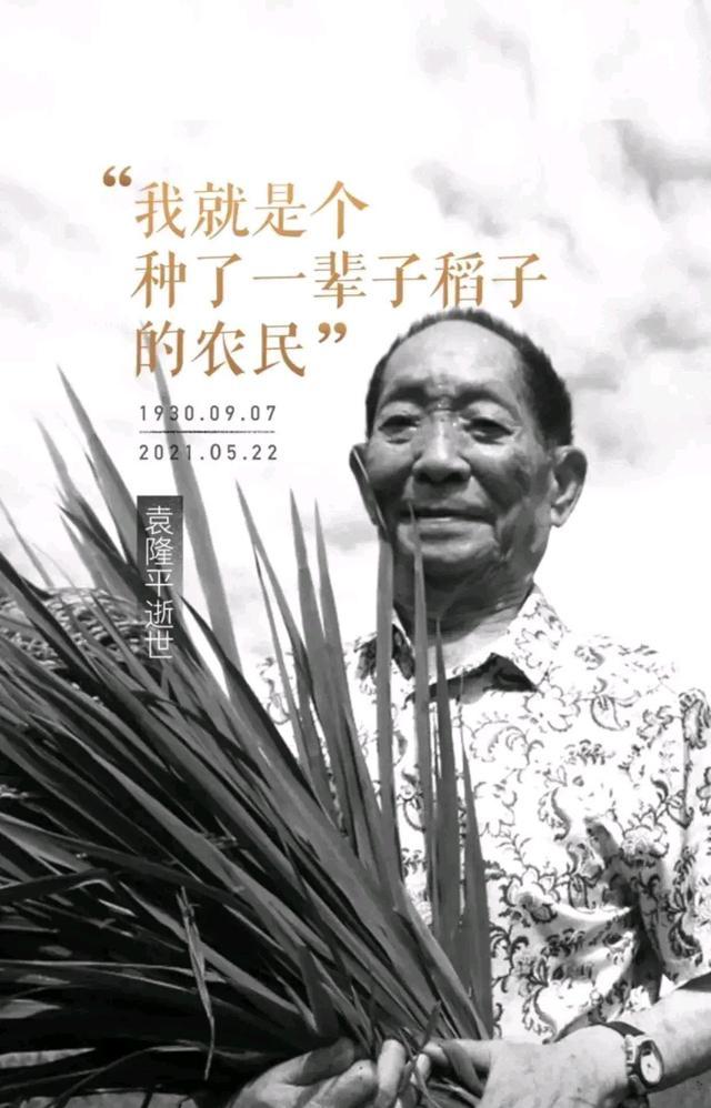 未来科技与人性的挑战，机器人撞人的故事探索